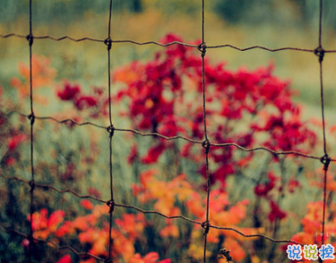 充滿(mǎn)陽(yáng)光的簡(jiǎn)短句子 鼓勵(lì)人的勵(lì)志說(shuō)說(shuō)心靈雞湯合集2