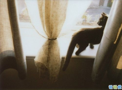 感情是最痛的一道傷疤傷感句子大全 很難過憂傷的傷感句子2