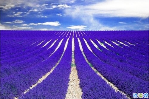 愛(ài)錯(cuò)了人換來(lái)一身傷痕的說(shuō)說(shuō)大全 親身經(jīng)歷愛(ài)情得到的經(jīng)典傷感說(shuō)說(shuō)4