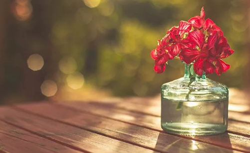 心里好煩用一段話表達的句子心情 形容焦慮的心情句子配圖13