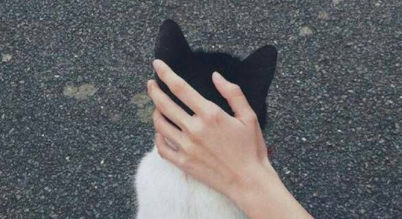 人生旅途中鼓舞你的很勵志的正能量說說帶圖片4