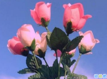 祝閨蜜生日快樂的說說簡短感動帶圖片 適合朋友生日發(fā)朋友圈的說說7