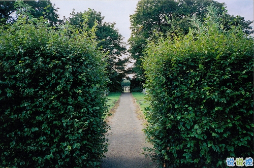 抖音最火經(jīng)典說(shuō)說(shuō)致自己 最新個(gè)人說(shuō)說(shuō)經(jīng)典勵(lì)志帶圖片8