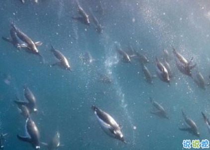 致自己的一句話個性說說帶圖片 想要訴說自己心情的說說5