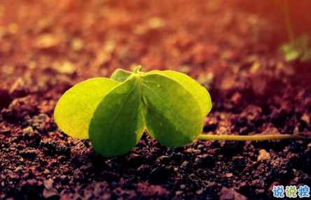 表示無聊的朋友圈說說帶圖片：無聊，是人生的一種正?，F(xiàn)象11