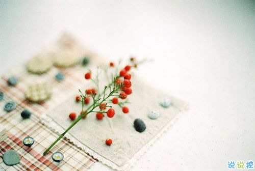 美好愛(ài)情說(shuō)說(shuō)心情短語(yǔ) 經(jīng)典愛(ài)情語(yǔ)錄甜甜蜜蜜1