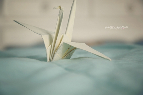 超甜蜜的戀愛中的小情侶適合發(fā)的愛情說說帶圖片 寫盡千山落筆是你15