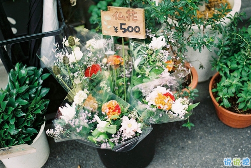 充滿少女心的浪漫愛情說說帶圖片 好聽簡(jiǎn)約有詩意的說說合集12