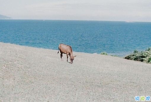 2019非主流經(jīng)典愛情說說帶圖片 很打動人的一些愛情真理5