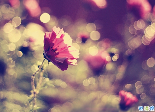 2019最新三月心情說說有點傷感 心里不是滋味的說說短句1