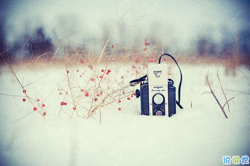 人生經(jīng)典語(yǔ)錄大全句句精華 那些發(fā)人深省的好句子1