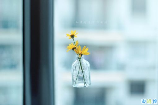 獨一無二朋友圈個性說說帶圖片 感謝相識不計消失回頭是狗7