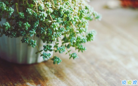 2018失戀的句子說說心情配圖 你永遠也看不到我最寂寞時候的樣子15