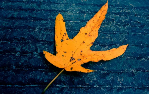 痛到心碎的句子看完瞬間就哭了最新 再也找不到一個可以相互喜歡的人3