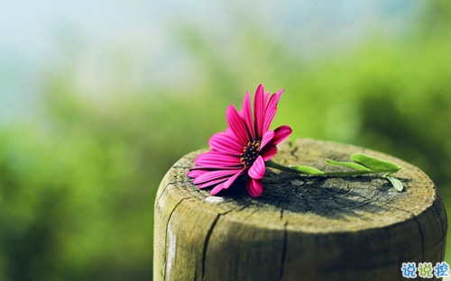 2019二月第一天怎么發(fā)朋友圈 2019二月微信正能量早安說說1