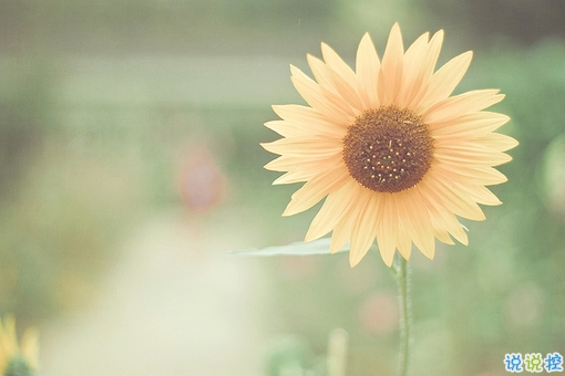 青春年少慢慢成長(zhǎng)變得成熟的個(gè)性說說帶圖片 2018很經(jīng)典的成熟個(gè)性說說14