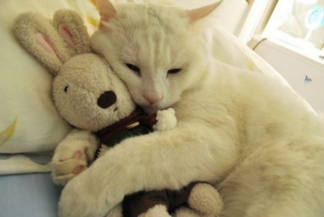 唯美文藝說(shuō)說(shuō)帶圖片 想做一個(gè)長(zhǎng)長(zhǎng)的夢(mèng)回到十九歲那年8