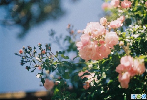 簡(jiǎn)單美好的個(gè)性說(shuō)說(shuō)超級(jí)暖心 2019請(qǐng)多指教1