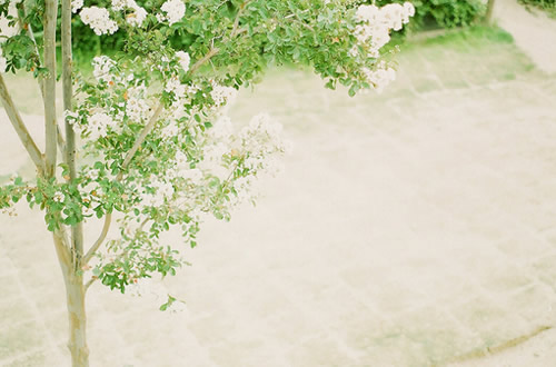 讓人在深夜哭的撕心累肺的愛情句子 傷感難過(guò)的愛情句子2