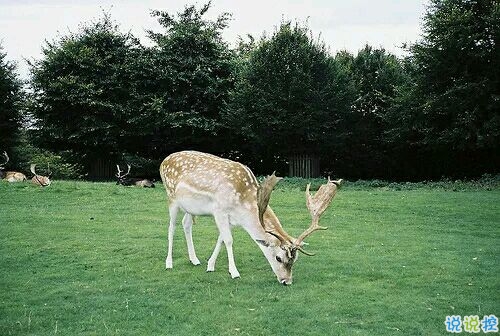 2019情人節(jié)一個(gè)人過(guò)的說(shuō)說(shuō)帶圖片 情人節(jié)傷感心情說(shuō)說(shuō)配圖2