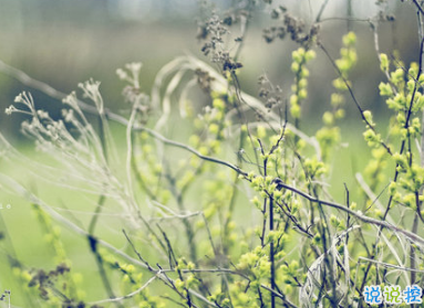 充滿(mǎn)陽(yáng)光的簡(jiǎn)短句子 鼓勵(lì)人的勵(lì)志說(shuō)說(shuō)心靈雞湯合集1