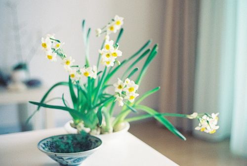 關(guān)于人生生活還有成長(zhǎng)的有哲理內(nèi)涵精辟的說(shuō)說(shuō)帶圖片4