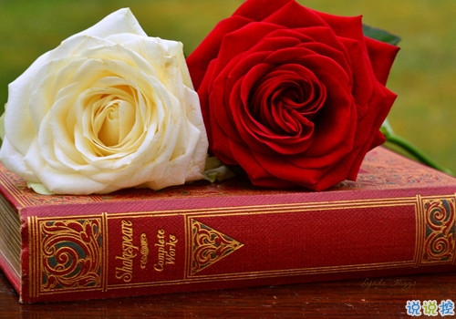 2019復(fù)活節(jié)朋友圈祝福語(yǔ)大全 復(fù)活節(jié)微信經(jīng)典語(yǔ)錄2