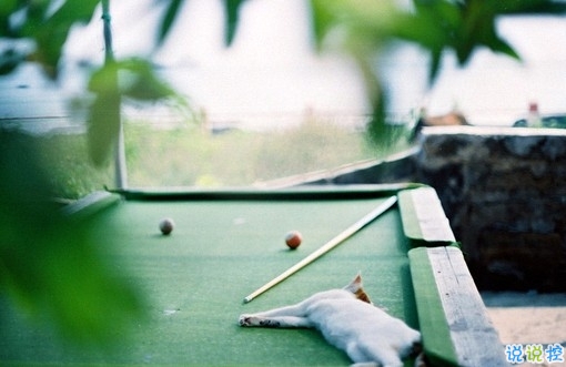 2019豬年除夕祝福語說說簡短 致所有人的豬年暖心祝福2