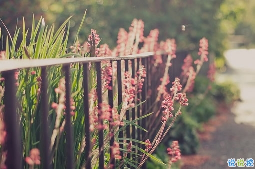 情感治愈系經(jīng)典語錄大全 能融化你心的簡短經(jīng)典說說2