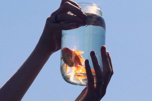 2018發(fā)朋友圈的精辟心情說說帶圖片 朋友圈轉(zhuǎn)發(fā)過萬的說說配圖4