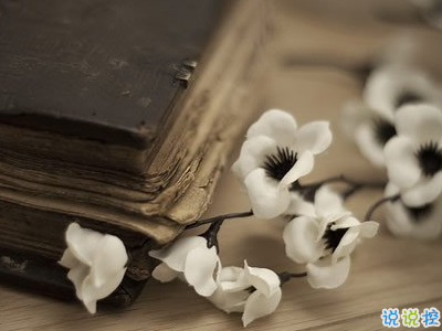 很現(xiàn)實的人生感悟經典句子 人生感悟句句精辟帶圖片8