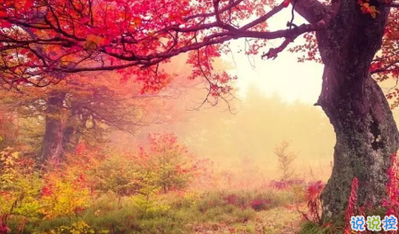 今日立秋圖片說說2018最新版 立秋的經(jīng)典說說帶圖片精選3