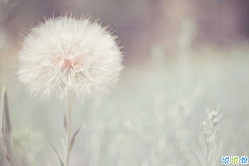 qq霸氣女生超酷說說大全 雙重人格超酷的個性說說6