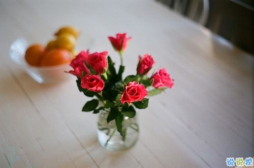 心好累好迷茫的說說2019最新 一次又一次失望的說說2