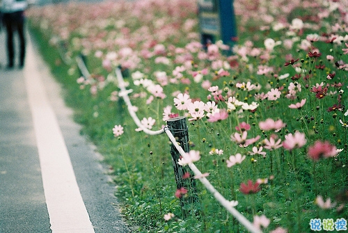 2018最后一天對(duì)自己說的話經(jīng)典版 致即將逝去的2018！2