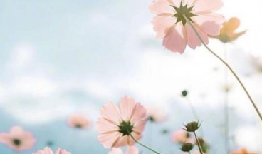 七月早安正能量勵志哲理說說帶圖 早安！七月！14