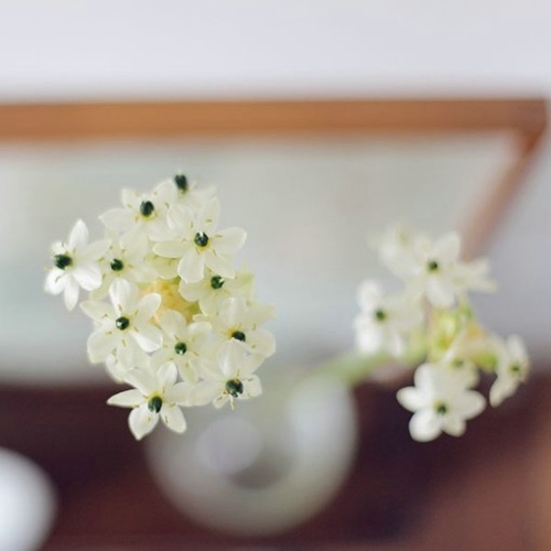 很勵(lì)志正能量的早安心語說說帶圖片14