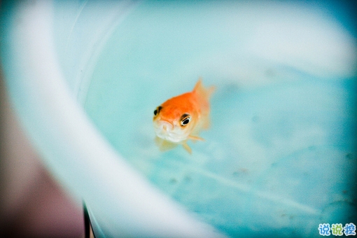 2018表達(dá)心情失落的傷感句子大全 痛到心碎的愛(ài)情傷感句子2