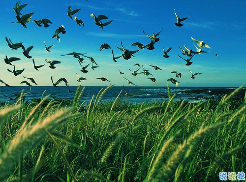 鼓舞人心的經(jīng)典說說帶圖片 朋友圈點(diǎn)贊超多的經(jīng)典說說2