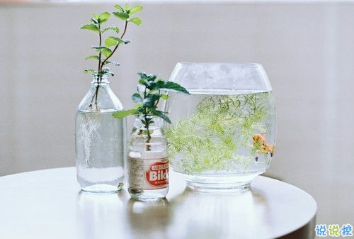 成長之路上遇到的一些經(jīng)典哲理說說配圖 很有道理的精辟說說發(fā)朋友圈3