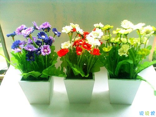 2019關(guān)于春分的微信說說帶圖片 春分節(jié)氣早安祝福語15