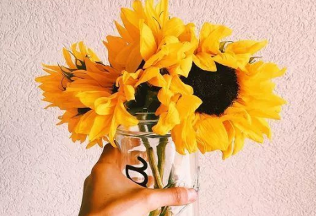 2018人生哲理的句子帶圖片帶字 很精辟的人生哲理句子配圖14條3