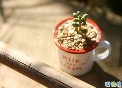 2019最流行的唯美傷感說(shuō)說(shuō) 有一個(gè)人總能讓你牽腸掛肚2