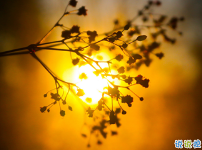 2019復(fù)活節(jié)祝福語英文大全帶翻譯配圖 復(fù)活節(jié)快樂說說致所有人9