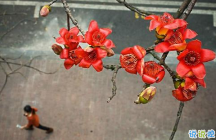 最火情侶說(shuō)說(shuō)秀恩愛(ài)短句帶圖片 超級(jí)喜歡一個(gè)人的說(shuō)說(shuō)6