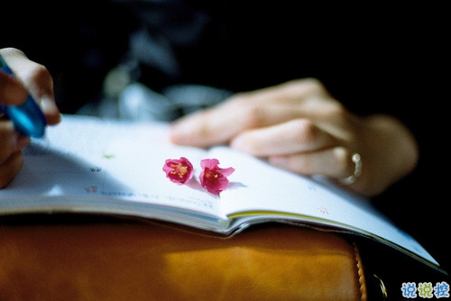 有種淡淡心酸的個(gè)性說(shuō)說(shuō)帶圖片 文字控喜歡的文藝個(gè)性說(shuō)說(shuō)配圖3