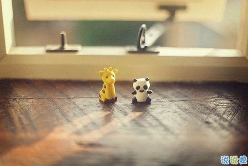 關于愛情中甜蜜和欣喜的說說帶圖片 承蒙你出現(xiàn)夠我喜歡好多年8