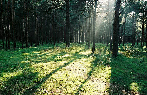 超傷感的00后難過心痛說說帶圖片 樹深時(shí)霧起海深時(shí)浪涌11