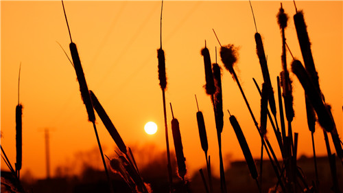 痛徹心扉的傷感愛情說說帶圖片 我在每個下雨天想起你7