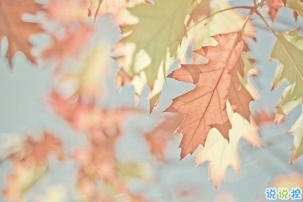 男生傷感說(shuō)說(shuō)心好累了 男生發(fā)朋友圈的傷感難過(guò)句子1